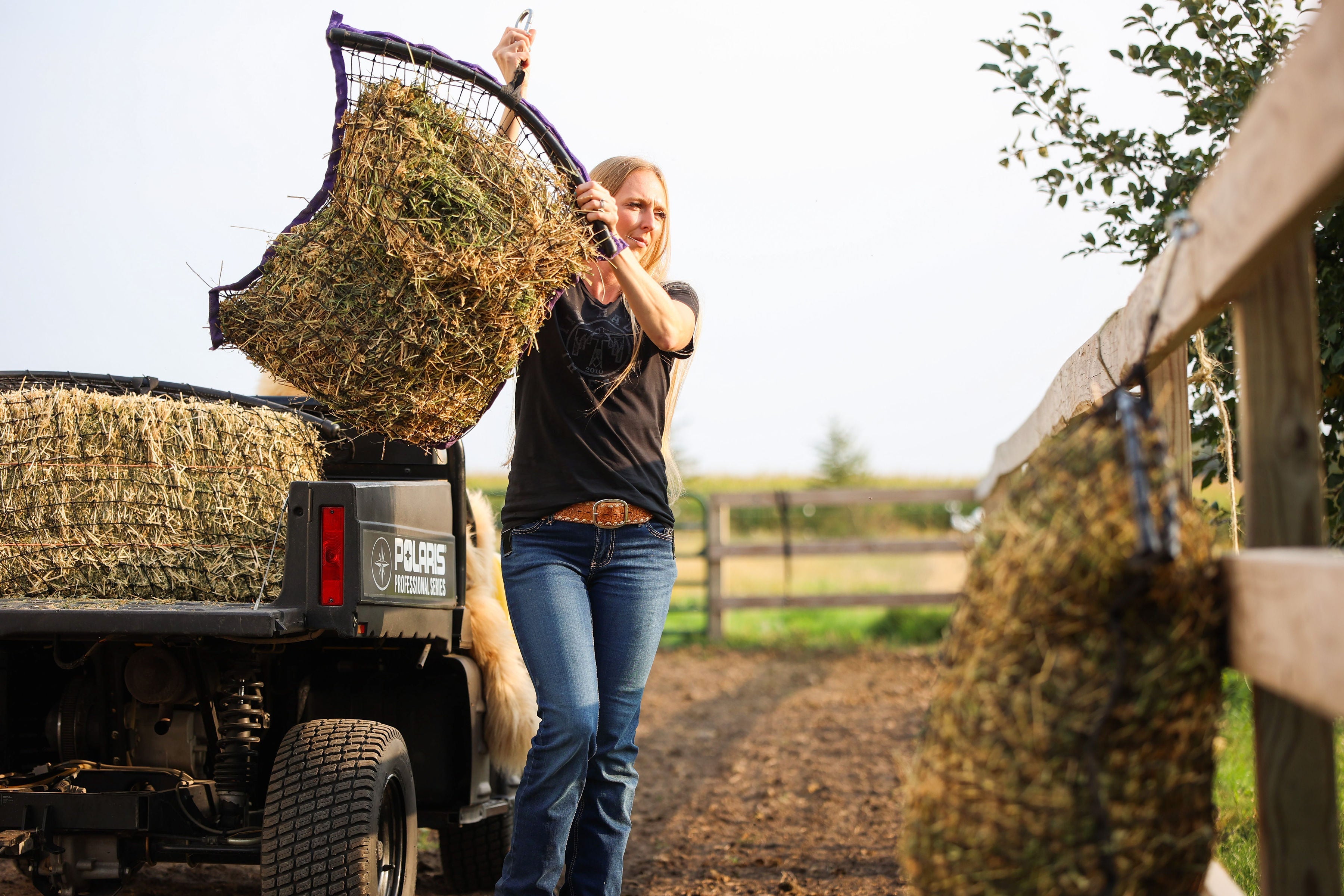 Regular Haynet