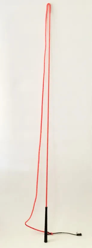 Riding Crops & Whips