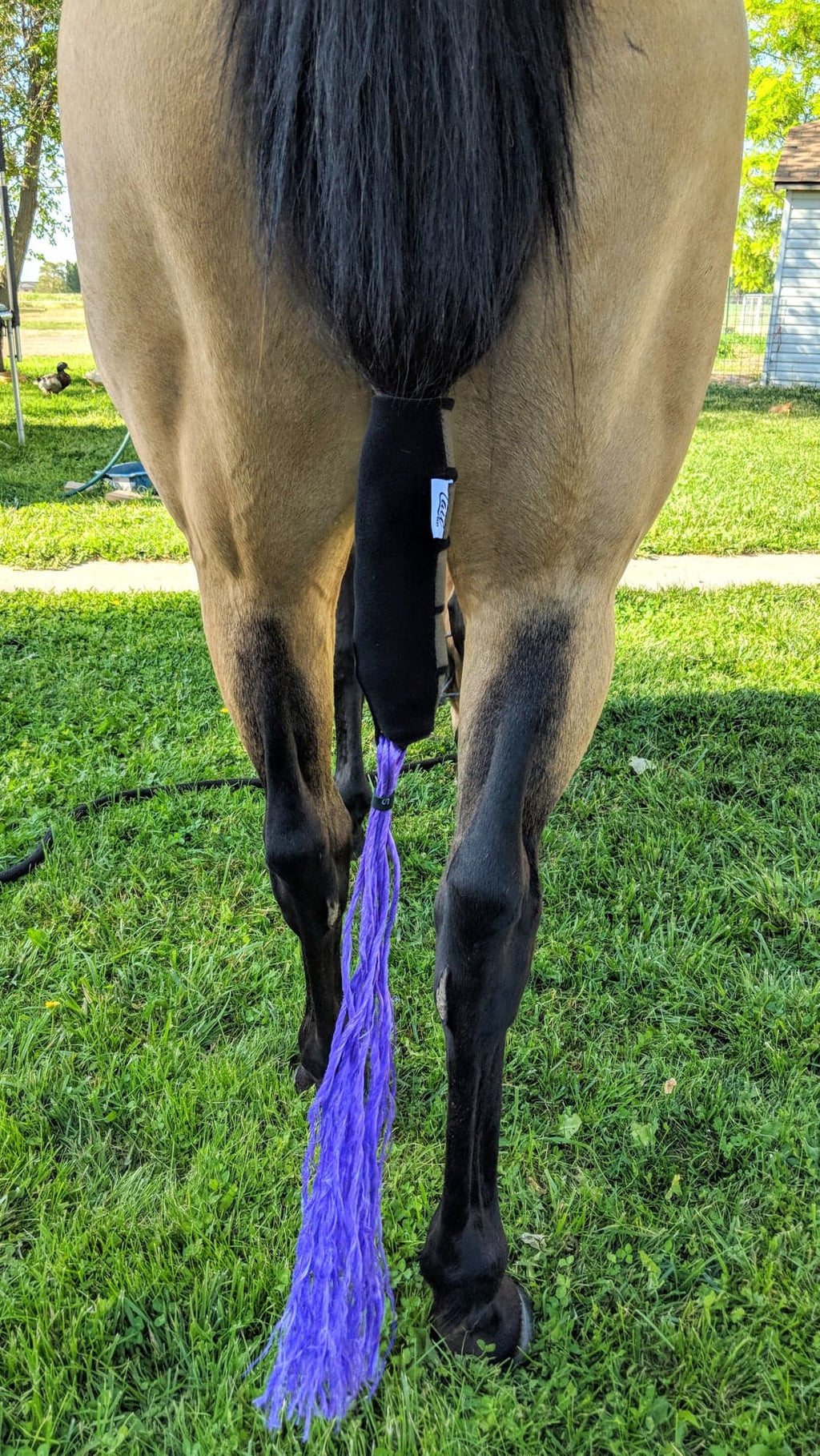 The Tail Boot (Tail Bag Alternative)