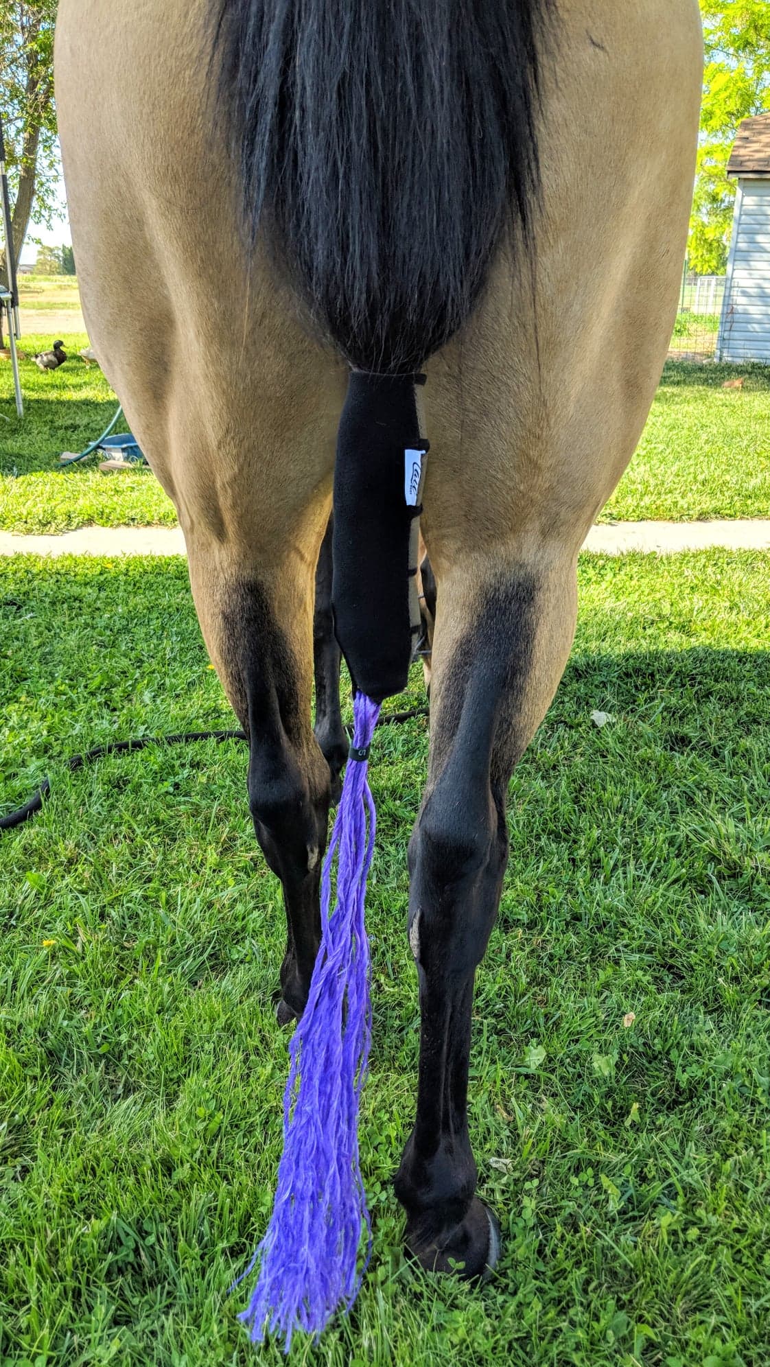 The Tail Boot (Tail Bag Alternative)