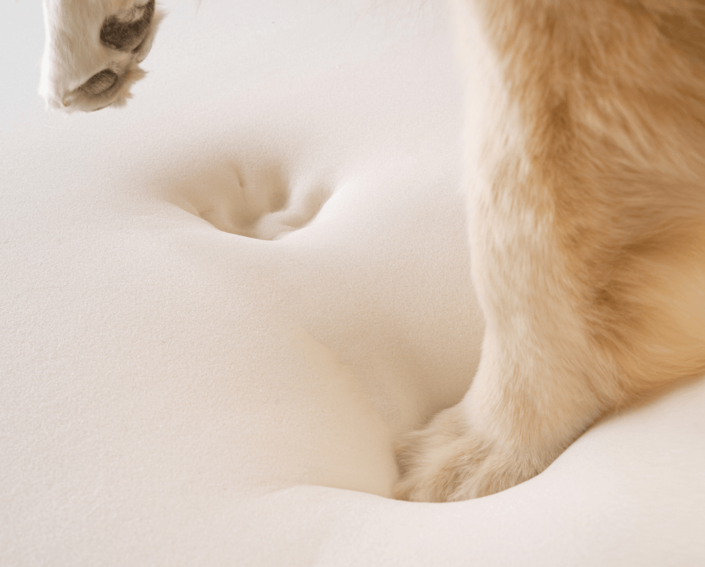PupRug by Paw.com® Faux Fur Orthopedic Dog Bed - Curve White with Brown Accents