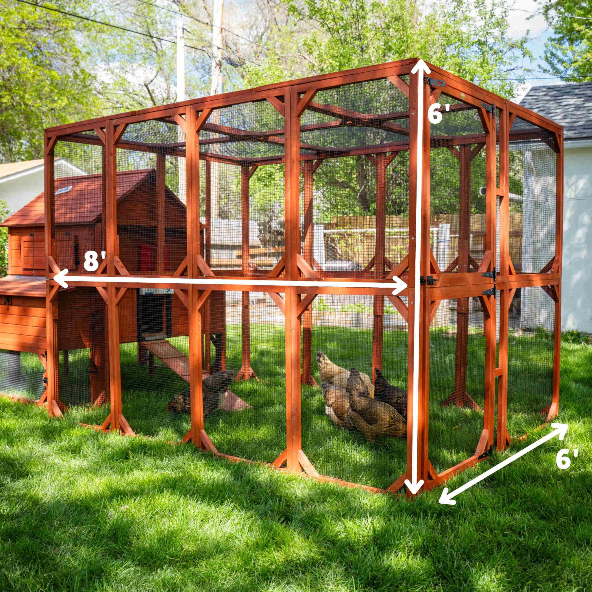 Chicken Coop for 10 Chickens – Rhode Island Homestead Coop with Run Extension Options