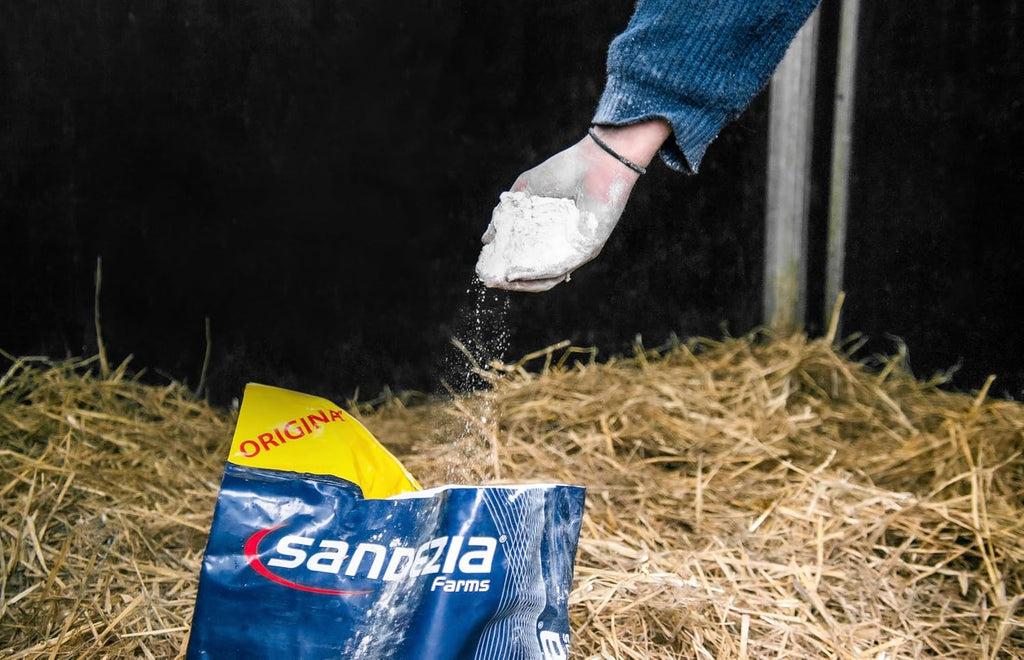 Sandezia Stable Drying Powder - Order Eliminator, Fresh Eucalyptus