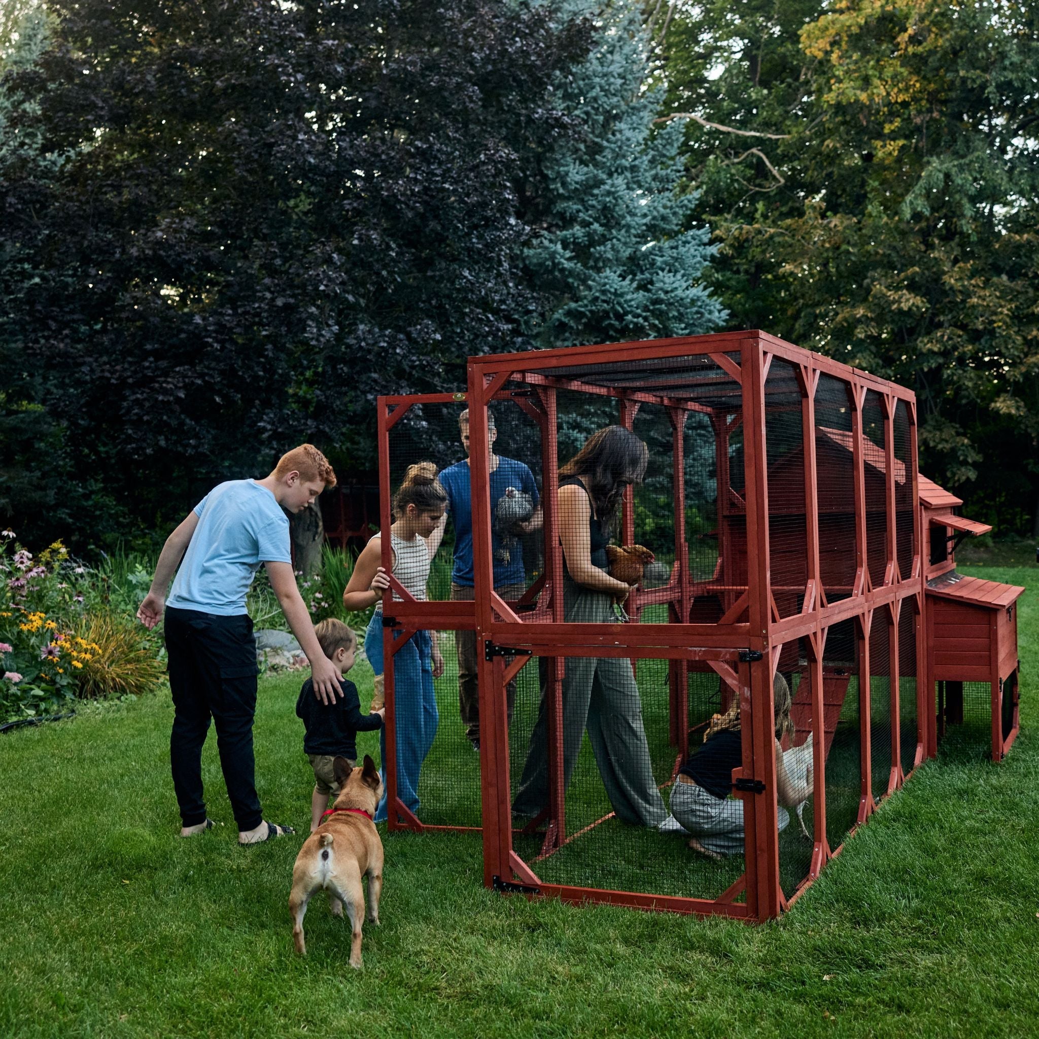 Chicken Coop for 10 Chickens – Rhode Island Homestead Coop with Run Extension Options