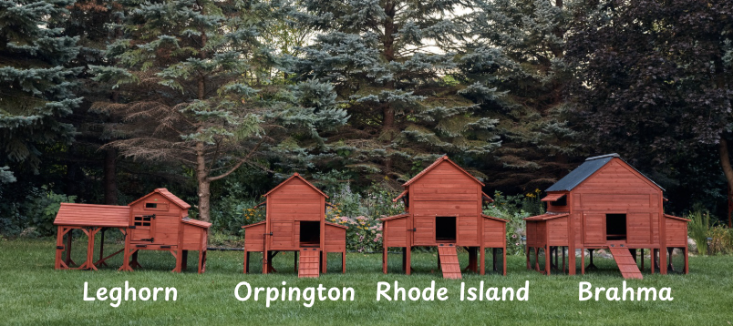 Chicken Coop for 10 Chickens - Rhode Island Homestead (Hen House Only)