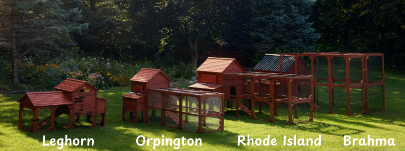 Chicken Coop for 15 Chickens – Brahma Chicken Coop