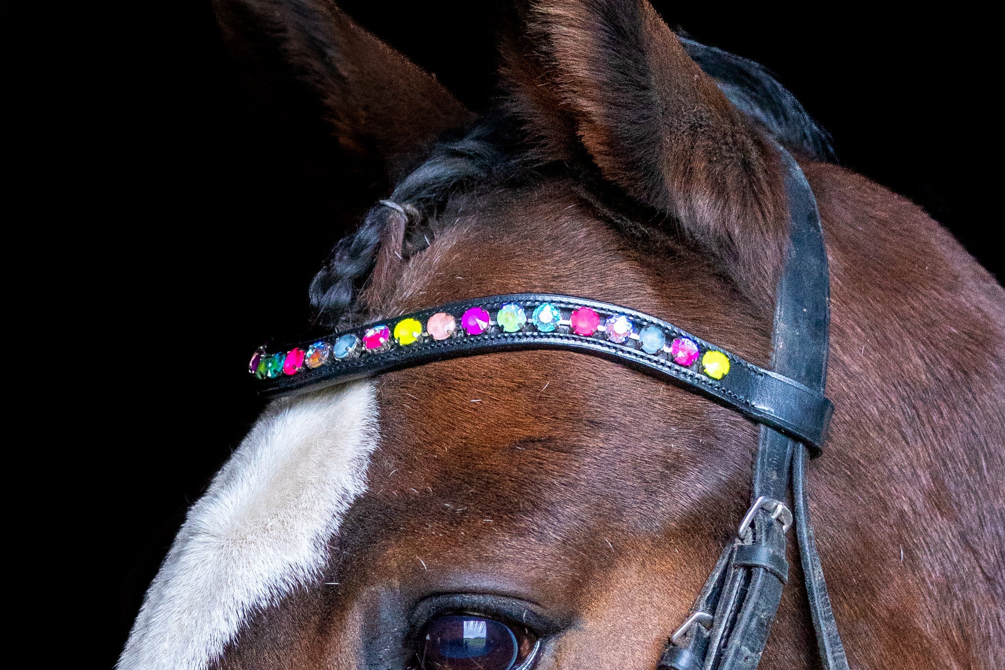 Neon Lights Browband
