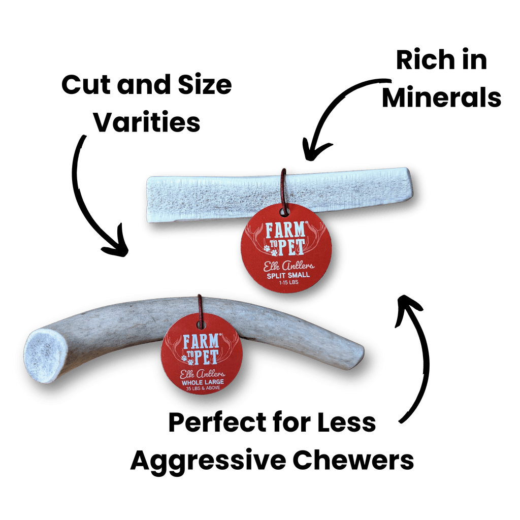 ELK ANTLERS FOR DOGS | WHOLE AND SPLIT ELK ANTLER CHEWS