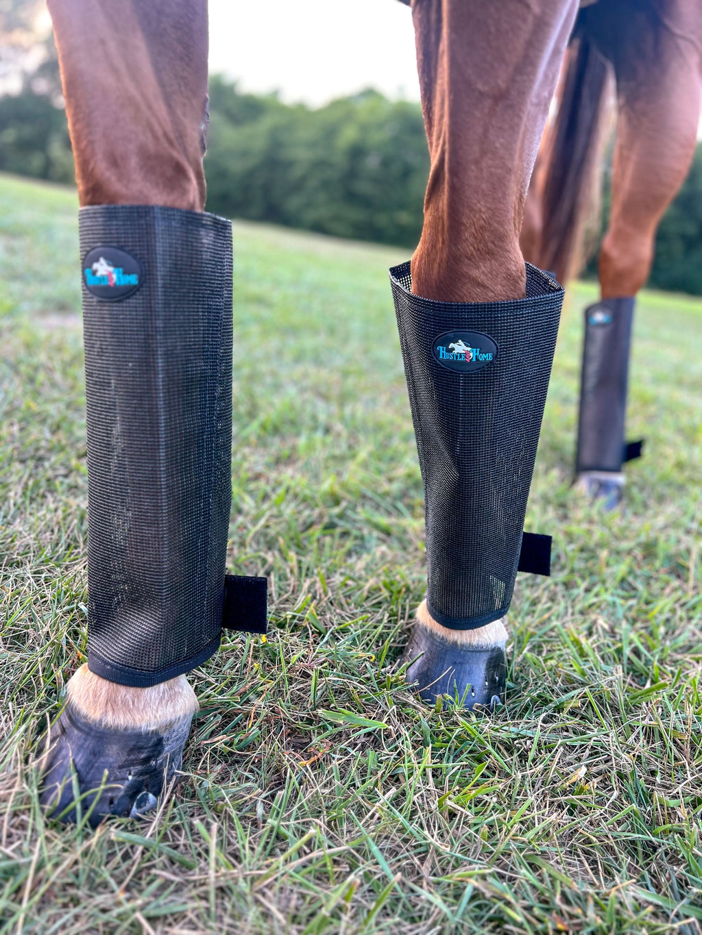 Fly Boots