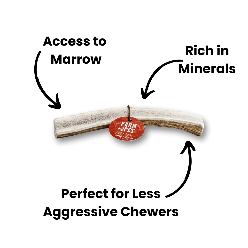 ELK ANTLERS FOR DOGS | WHOLE AND SPLIT ELK ANTLER CHEWS