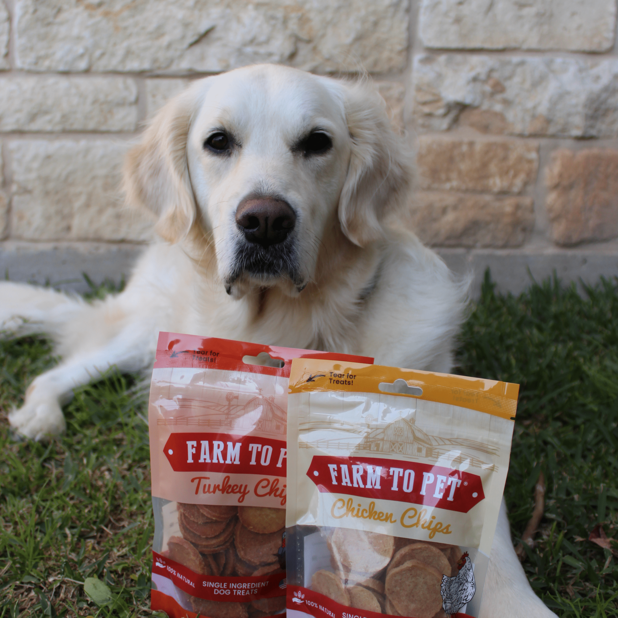 Turkey & Chicken Chip Dog Treat Duo | Single-Ingredient Poultry Treats for Dogs