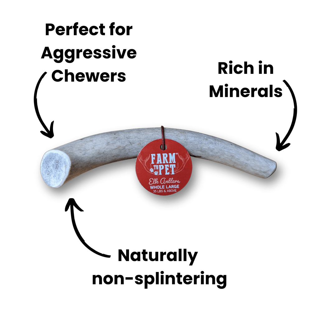 ELK ANTLERS FOR DOGS | WHOLE AND SPLIT ELK ANTLER CHEWS