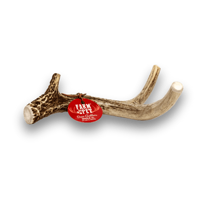 DEER ANTLER DOG CHEWS | ORGANIC CHEW FOR LARGE DOGS