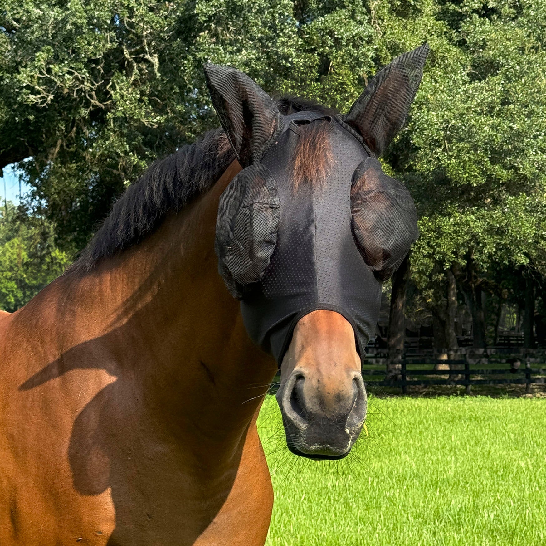 Com4rt Stretch Breathable Fly Mask