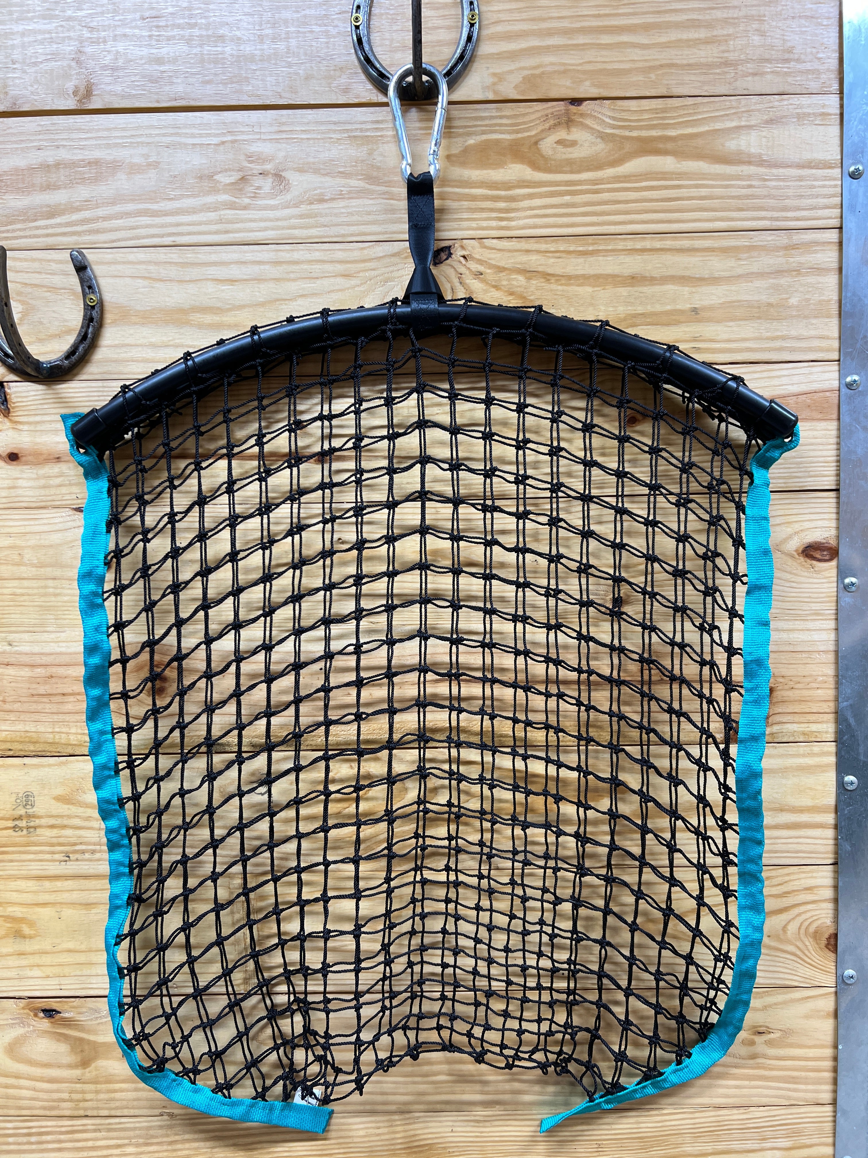 Regular Haynet