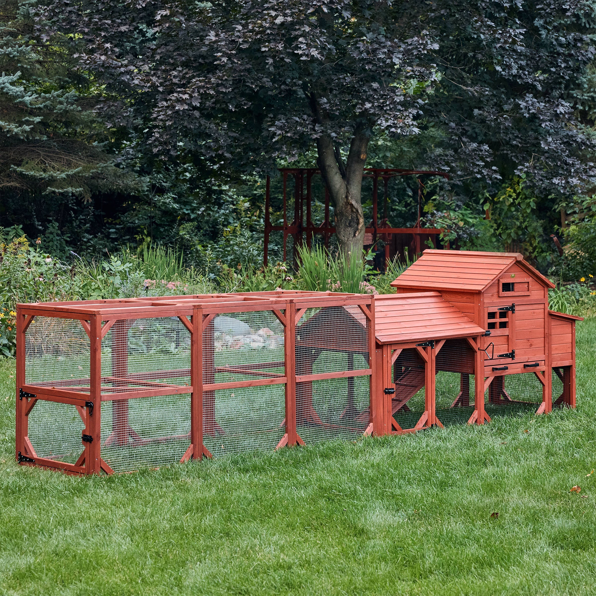 Chicken Coop for 4 Chickens – Leghorn Cottage Chicken Coop