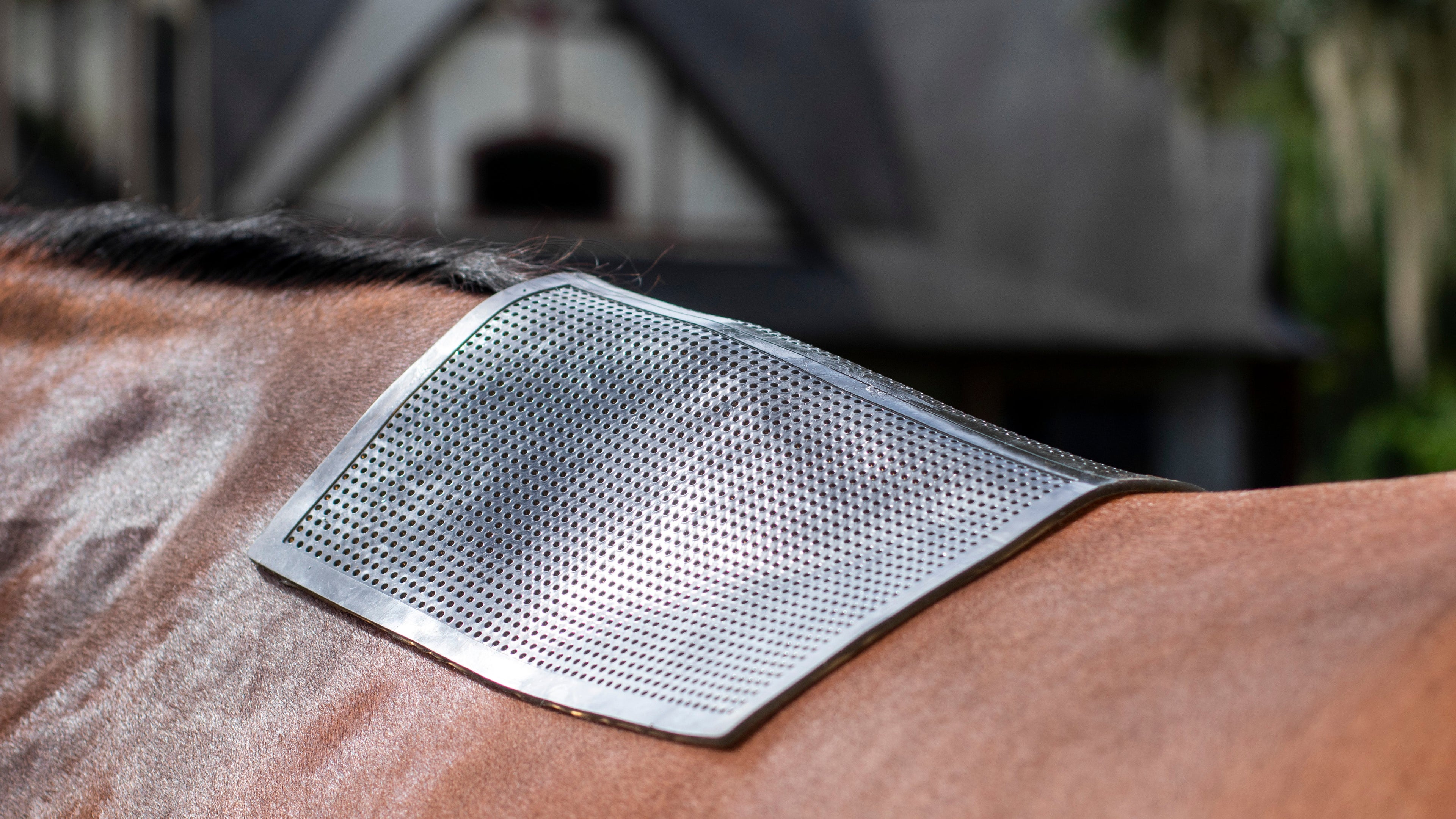 Non-Slip Saddle Pad (Black)