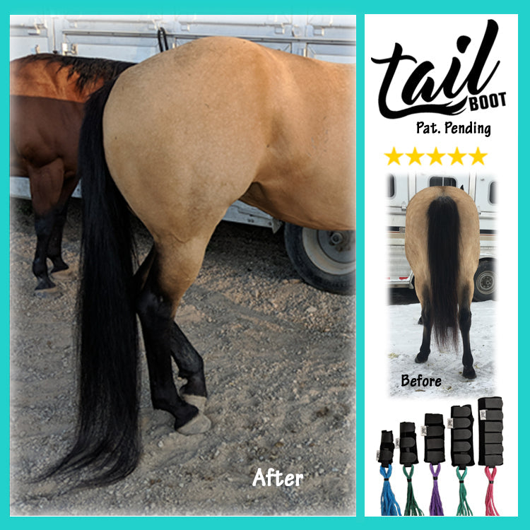 The Tail Boot (Tail Bag Alternative)