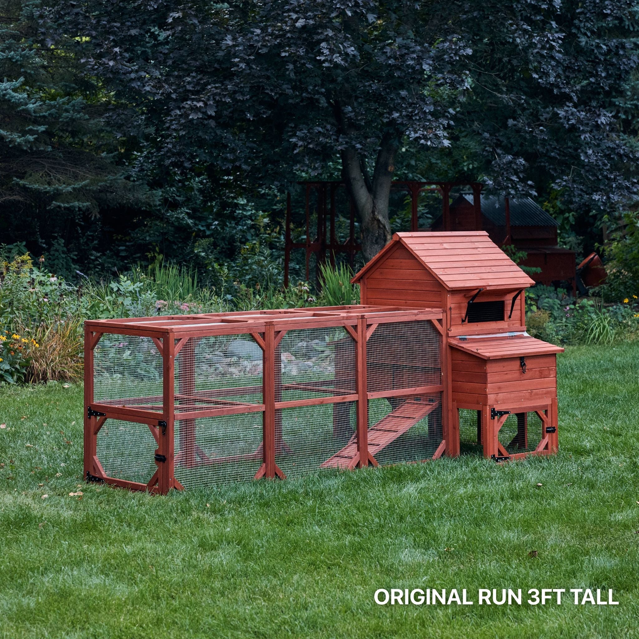 Chicken Coop for 6 Chickens – Orpington Lodge