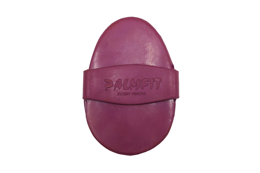 PalmFit Curry Comb