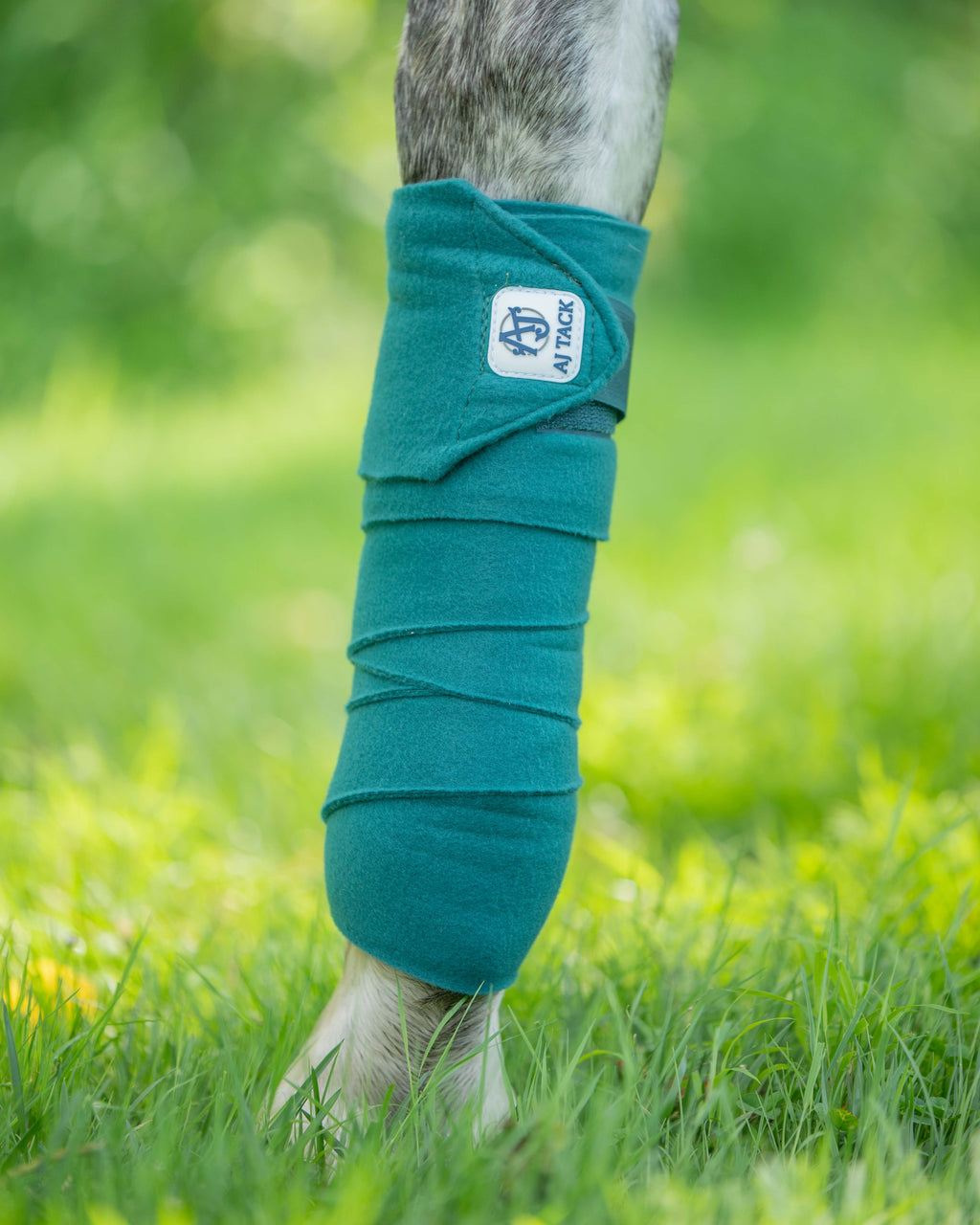 AJ Tack Polo Wraps - 12 ft - Pack of 4