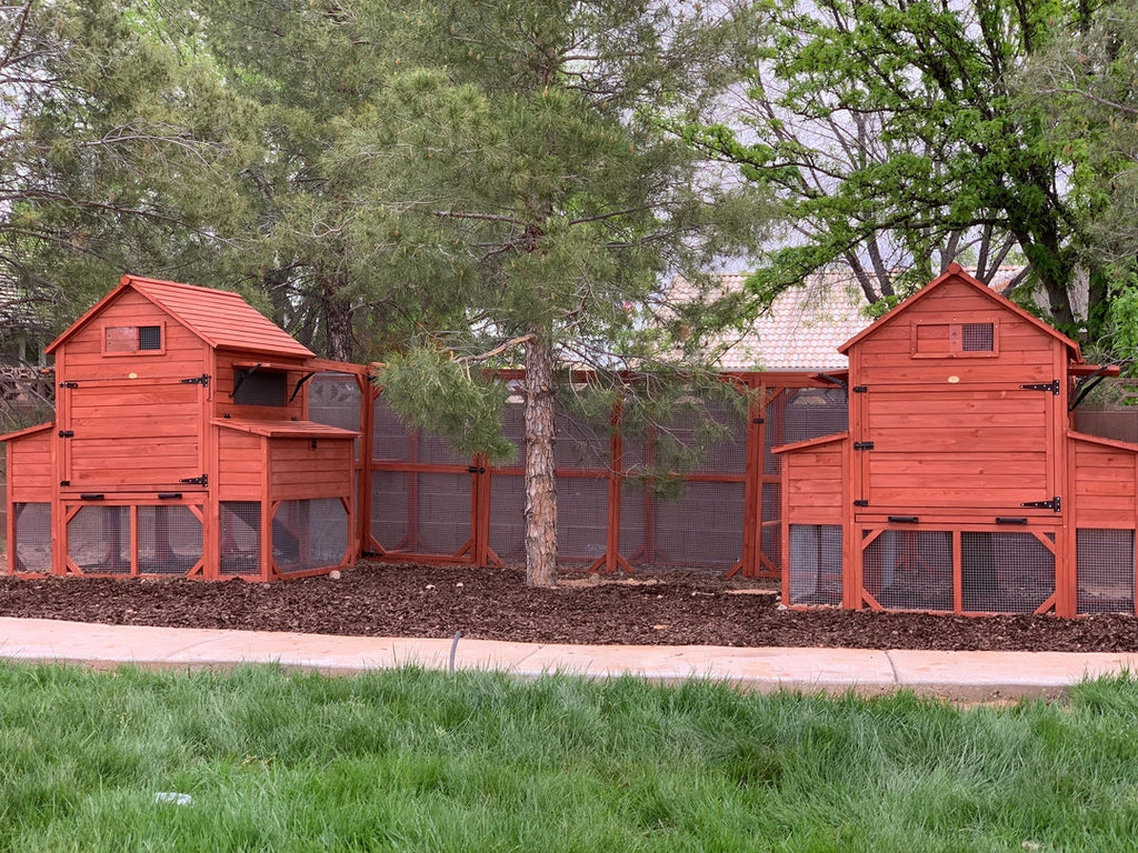 Chicken Coop for 10 Chickens - Rhode Island Homestead (Hen House Only)