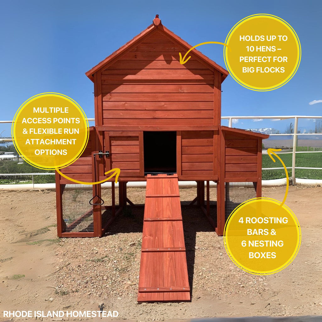 Chicken Coop for 10 Chickens - Rhode Island Homestead (Hen House Only)