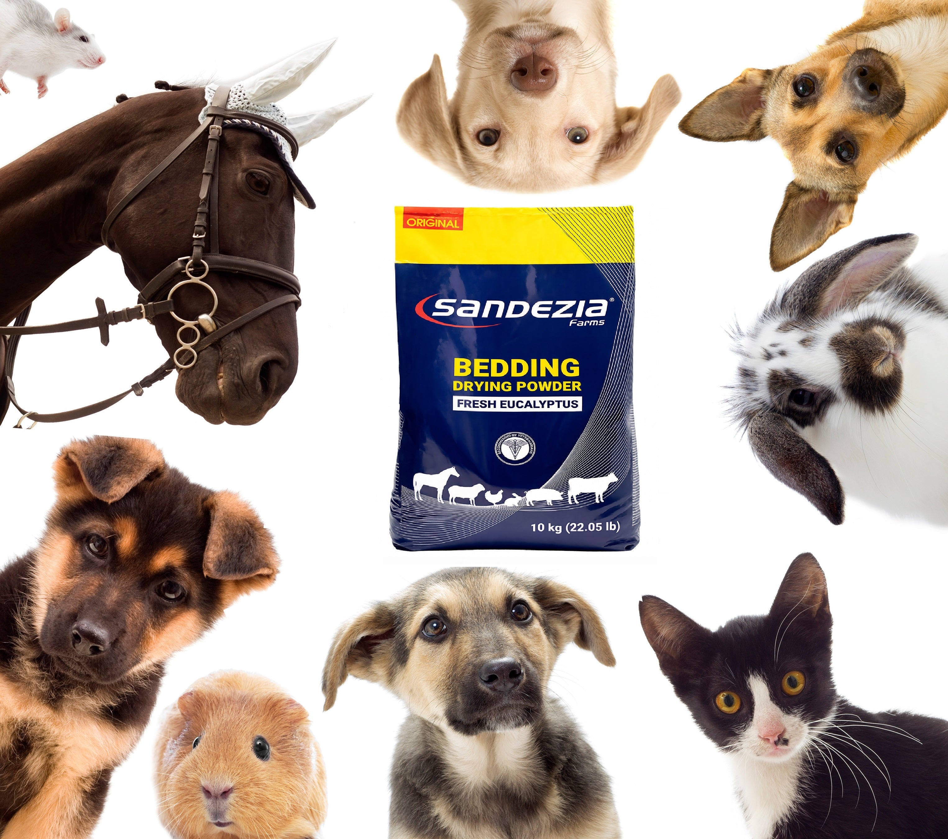 Sandezia Stable Drying Powder - Order Eliminator, Fresh Eucalyptus