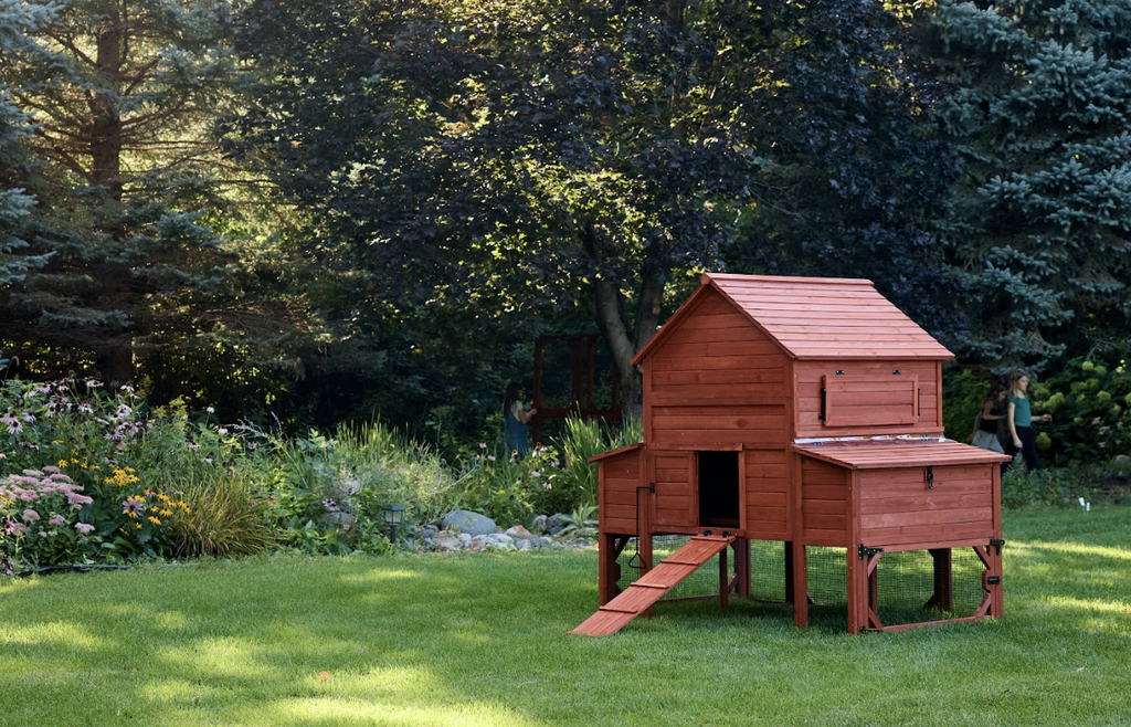Chicken Coop for 10 Chickens – Rhode Island Homestead Coop with Run Extension Options