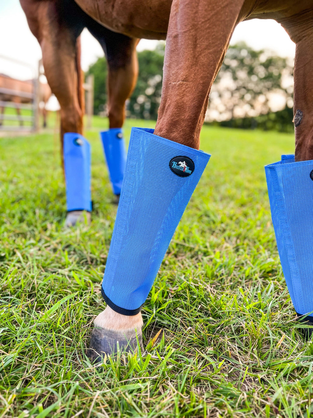 Fly Boots